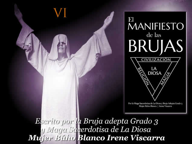 Afiche del libro El Manifiesto de Las Brujas